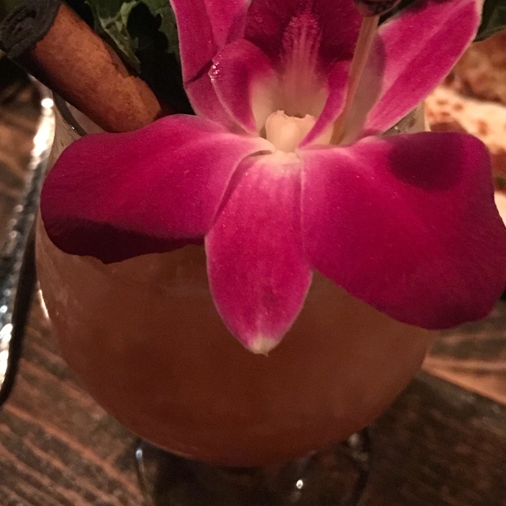 Meet your Posher, Tra